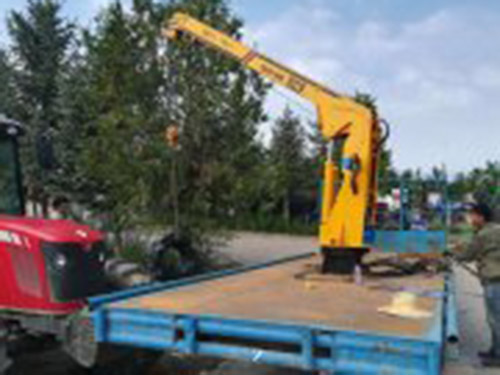 <b>小吊車價格吊運機隨車吊小吊機汽車吊圖片小型吊車</b>