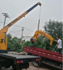 小吊車三輪吊運機隨車吊異型小吊機汽車吊小型吊車小型吊機單臂吊